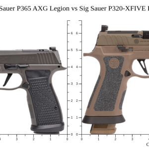 P365-DH3 AXG - Handguns - Illinois Gun Shop