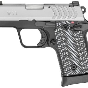 Springfield 911 380 ACP Stainless Gear Up Package with 5 Magazines and Notebook Gun Case - Firearms | Illinois Gun Shop