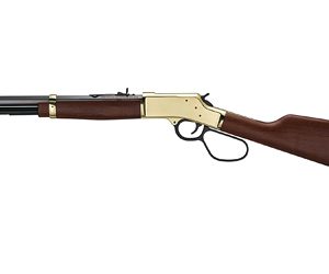 Henry Big Boy Brass Large Loop Side Gate .44 Mag 20in - Lever Action Rifles | Illinois Gun Shop